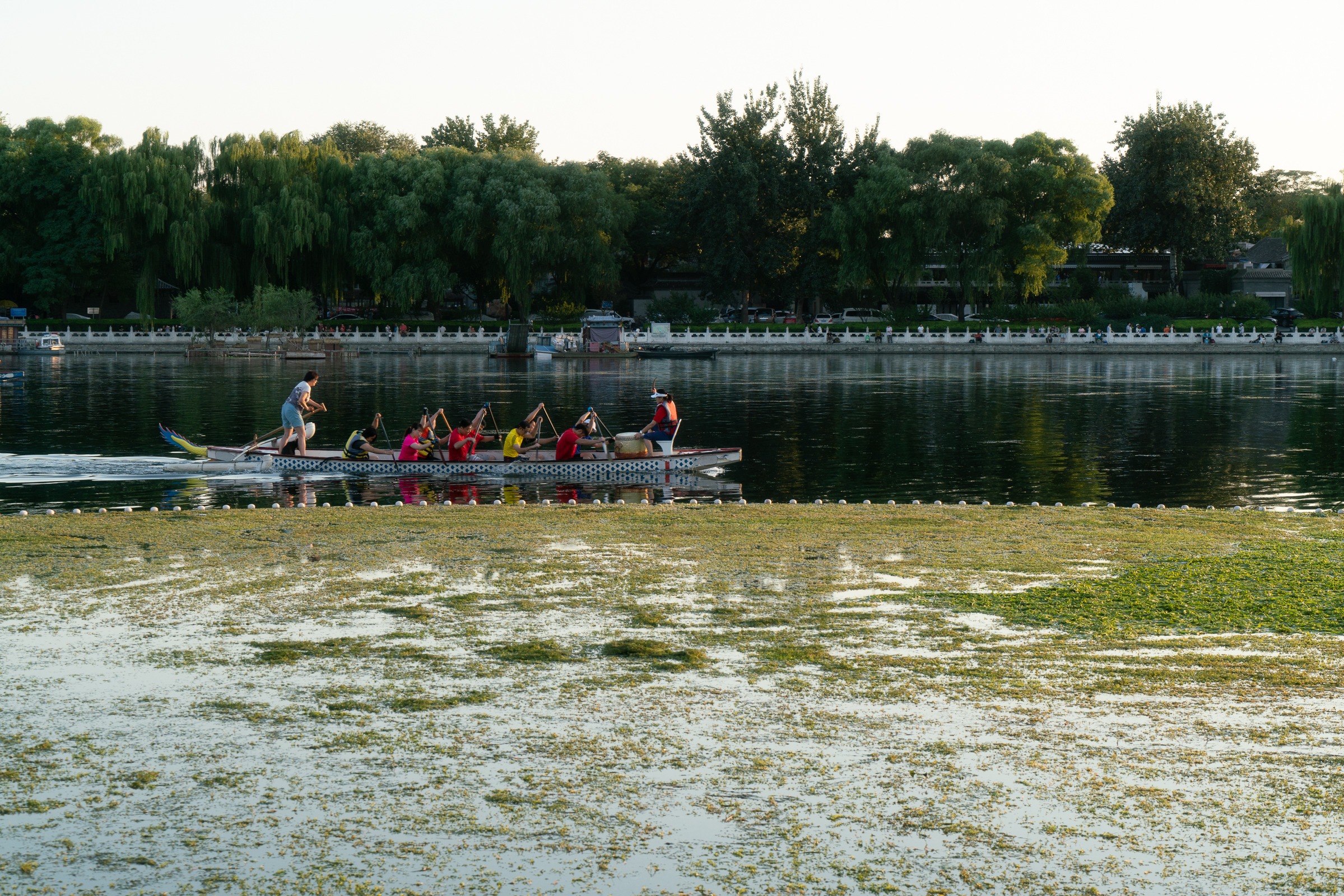 Houhai lake - training for rowing race