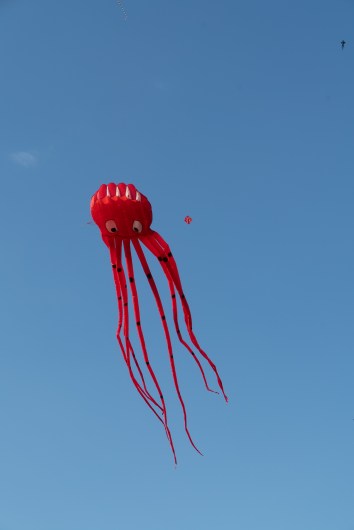 Summer Palace - kites