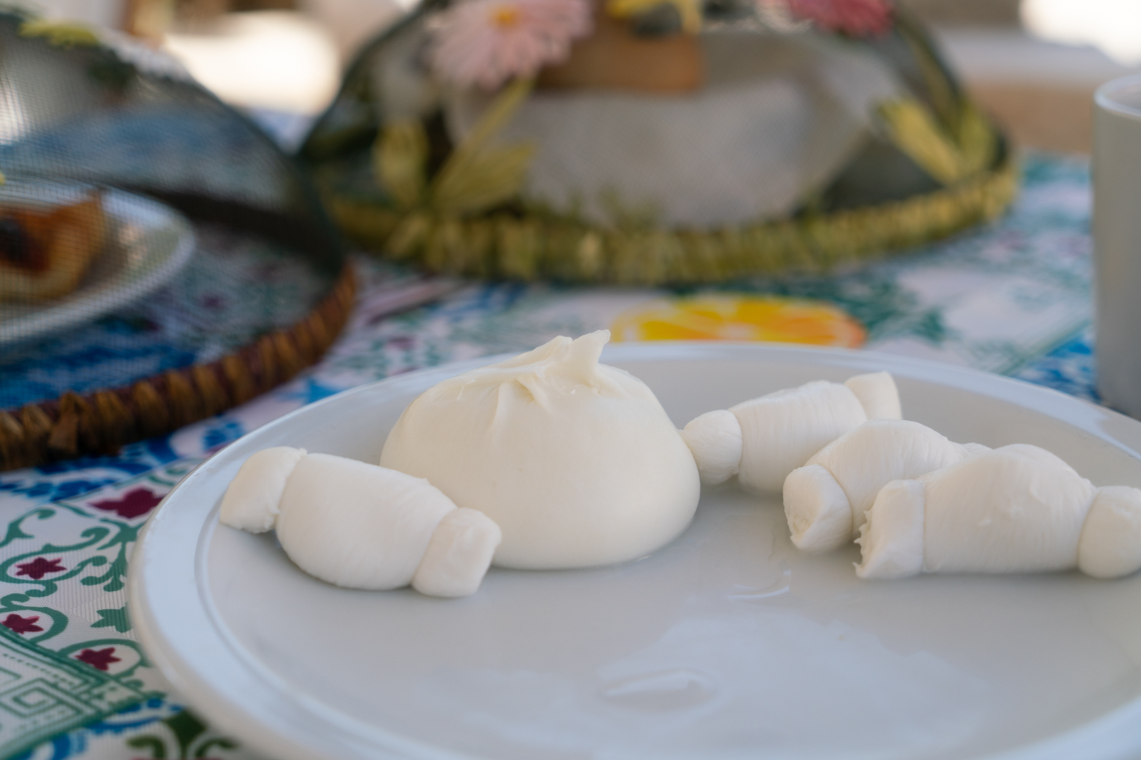 Alberobello - Astra - Burrata and mozzarella-2