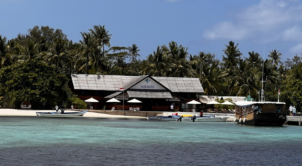 Wakatobi: underwater heaven in Indonesia – Polything