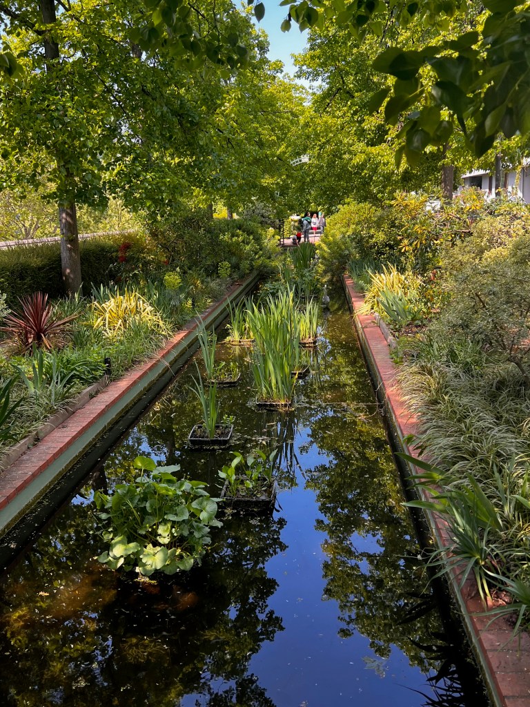 Pond on the Coulée Verte