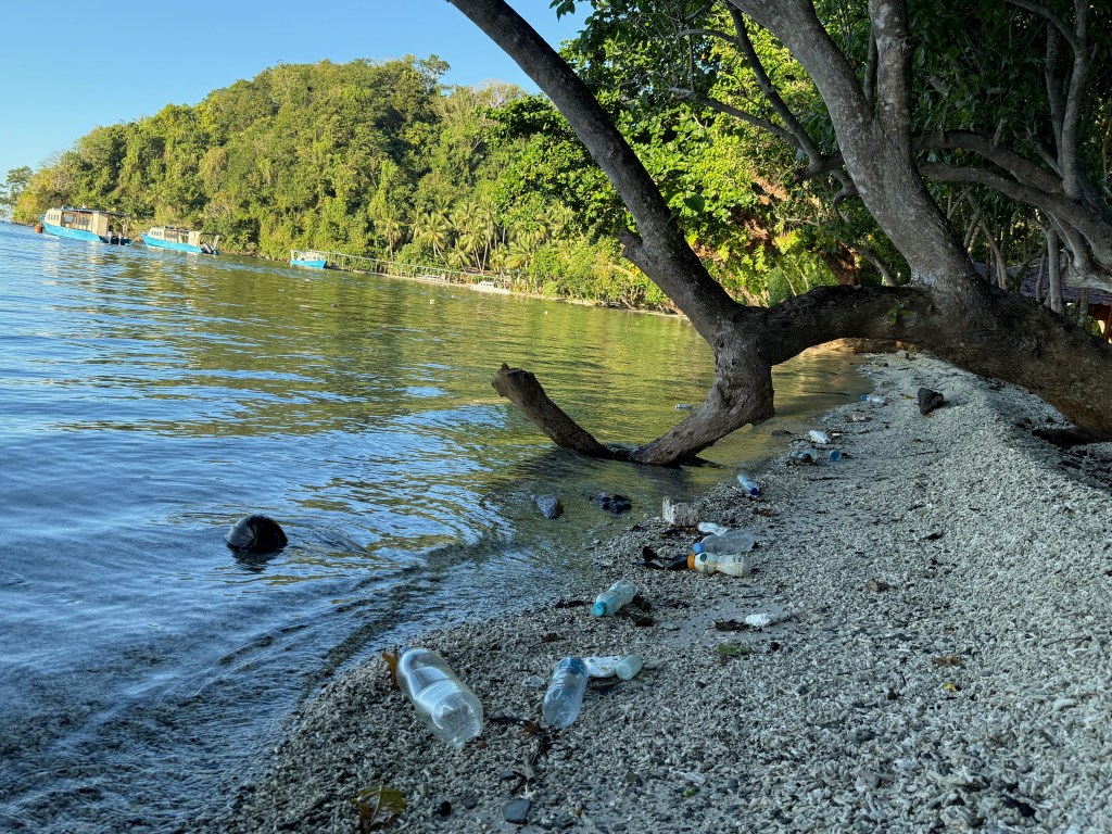 Plastic on beach at Sali Bay©️ David Karlin