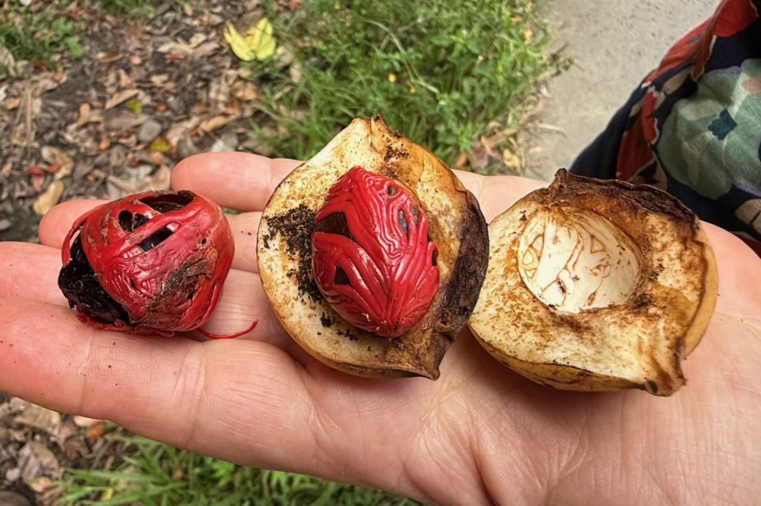 Travel notes from Indonesia above&nbsp;water